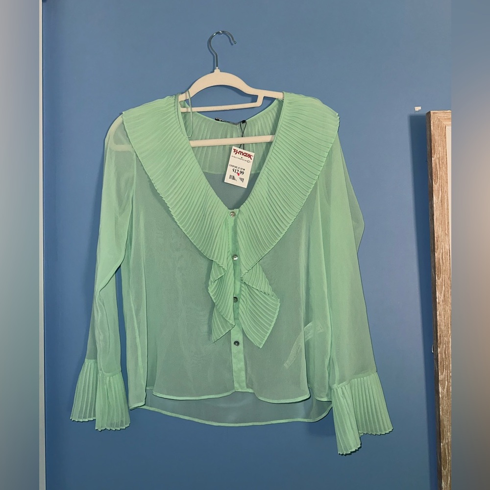 💚 NWT Zara Mint Green Sheer Ruffle Top 💚